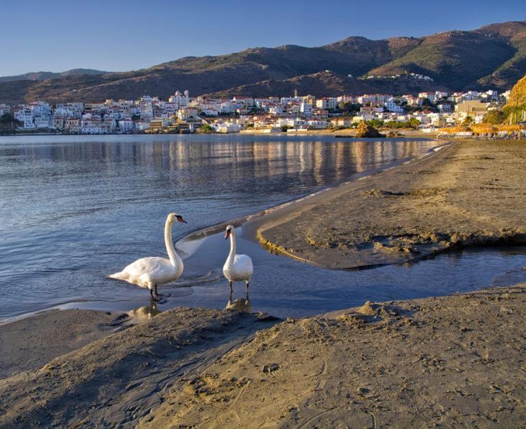 Villa Πλατανακι 1 Family Friendly Ándros Esterno foto
